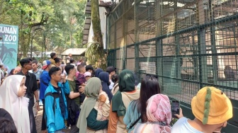 Pengunjung Kebun Binatang Ragunan Sudah Tembus 23 Ribu, Diprediksi Terus Bertambah