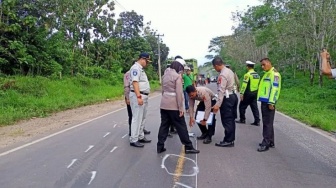 Kecelakaan Maut di Jalur Mudik OKU Selatan, 2 Orang Meninggal Dunia