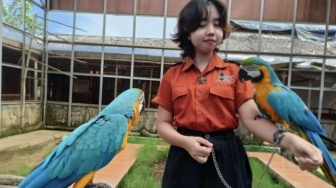Liburan Lebaran Hemat di Palembang? Kunjungi Taman Burung Palembang
