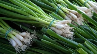 Kebutuhan Pokok di Balikpapan Masih Tinggi, Bawang Prei Tembus Rp 80 Ribu per Kilo!