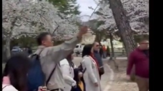 Viral Turis Indonesia Rusak Pohon Sakura di Jepang, Netizen: Norak Banget!