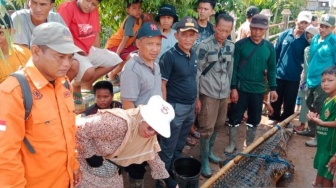 Buaya yang Meresahkan Warga Air Sugihan OKI Ditangkap