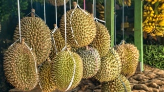 Manis dan Legit, 3 Kudapan Berbahan Dasar Durian yang Wajib Dicoba