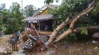 Puting Beliung Hantam Tiga Desa di Kabupaten Jepara, Tiang Listrik Ikut Roboh