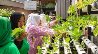 Berdayakan Wanita, Program BRI Peduli BRInita Bantu Perekonomian Keluarga Indonesia