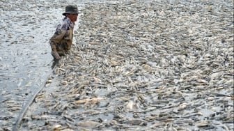 Seorang nelayan mengumpulkan ikan mati dari waduk di provinsi Dong Nai, Vietnam, Selasa (30/4/2-24). [AFP] 