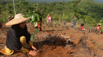 Telkom Dukung Pemulihan 82,1 Ha Lahan Kritis melalui Reboisasi 33.800 Bibit Pohon