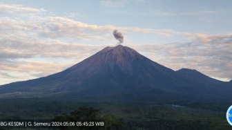 Gunung Semeru Kembali Erupsi Senin Pagi, Muntahkan Abu Vulkanik hingga 700 Meter