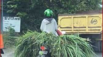 Ojol di Bali Ini Diduga Layani Angkut Rumput untuk Pakan Ternak