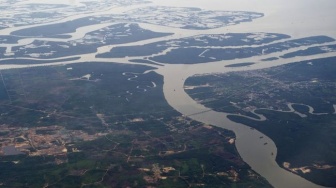 Ancaman Baru di Sungai Kaltim, Spesies Asing Membahayakan Ikan Asli