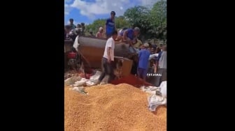 Ngeri, Bekerja Rontokkan Jagung, Pria di NTB Tergiling hingga Bagian Tubuh Hancur