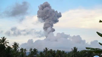 Gunung Ibu di Maluku Erupsi, Muntahan Abu Vulkaniknya Setinggi 5 Meter