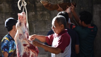 Pakar UGM Bagikan Tips Menyimpan dan Mengolah Daging Kurban, Nomor 3 Sering Terabaikan