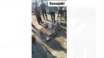 Cek Fakta: Buaya Ditemukan di Pelabuhan Paotere Makassar