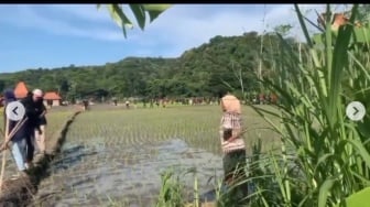 Viral Diduga Rusak Sawah Petani di Jogja, Komunitas Motor Ini Banjir Kecaman