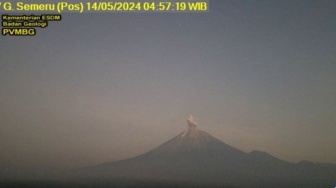 Gunung Semeru Kembali Erupsi Selasa Pagi, Letuskan Abu Vulkanik Setinggi 600 Meter