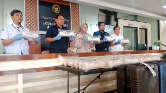 Bandara YIA Berhasil Gagalkan Penyeludupan 80 Ribu Benih Lobster Senilai Rp1,6 Miliar