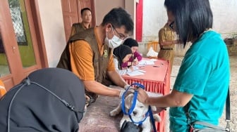 Pemkot Bandar Lampung Gelar Program Vaksin Rabies Gratis, Catat Lokasinya