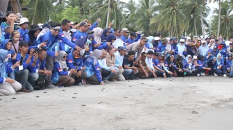 Penyuluh Perikanan di Pulau Sulawesi Lepas Bayi Penyu ke Laut