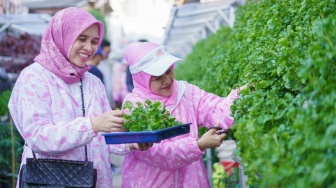 Lahan Terbengkalai Disulap Jadi Produktif oleh Kelompok Dasawisma Pisang di Palembang Lewat BRI Peduli - BRInita