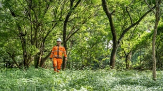 BUMN Ini Berikan Sebagian Lahan Pabriknya Untuk Hutan Kota di Cilacap