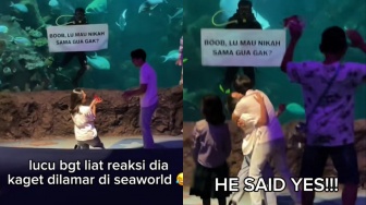 Viral Seorang Wanita Melamar Pacarnya di Seaworld, Netizen Malah Cibir: Cowoknya Nggak Mau Duluan?