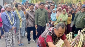 Tradisi Petik Tebu Manten Awali Musim Giling PG Redjosarie, Siap Dorong Pergerakan Ekonomi Warga Magetan