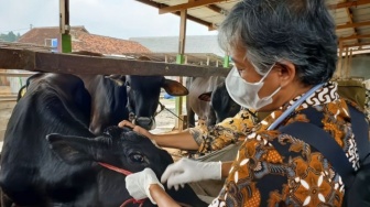 Bupati Cianjur Larang Pedagang Jual Hewan Kurban di Pinggir Jalan, Ini Alasannya