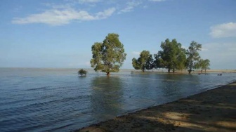 Pesona Pantai Tanah Merah: Perpaduan Pasir Putih, Hutan Pinus, dan Kesejukan Alam di Dekat IKN