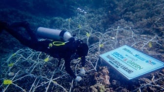 BRI Dukung Pelatihan Sadar Wisata Hingga Sertifikasi, Masyarakat Ujung Bulo Makin Mandiri