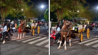 Viral! Detik-detik Kuda Delman 'Bermanuver' Gegara Emak-emak Naik Motor