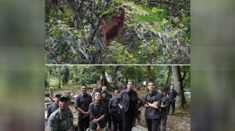 Momen Menteri Keuangan-Menteri LHK Lihat Orang Utan di Bukit Lawang