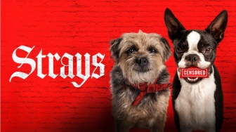 Sinopsis Strays, Film tentang Anjing yang Hadir 29 Juni di HBO GO