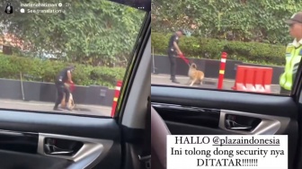 Usai Diperiksa Dokter, Begini Kondisi Anjing Pelacak yang Dipukuli Security Plaza Indonesia