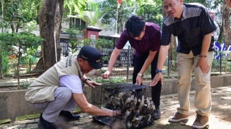 Penjabat Gubernur Sulsel Zudan Arif Fakrulloh Beli 80 Burung Kemudian Dilepaskan