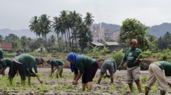 BRI Catat Perbaikan Signifikan Bisnis UMKM, Sektor Pertanian Jadi Penopang