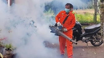 Waspada! DBD Merebak di Pasaman Barat, 1 Orang Meninggal Dunia