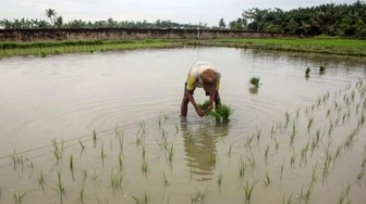 Siaga Kemarau! Petani Sumut Diminta Periksa dan Siapkan Pompa Air