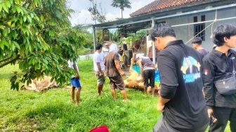 Rezeki Nomplok Tukang Jagal di Lampung Selatan di Momen Idul Adha