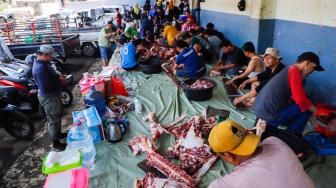 Aktivitas pekerja di Rumah Pemotongan Hewan (RPH) Perumda Dharma Jaya, Jakarta, Senin (17/6/2024). [Suara.com/Alfian Winanto]
