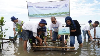 Garda Oto Libatkan Pelanggan Tanam Bibit Mangrove Jaga Ekosistem Wilayah Pesisir