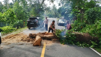 Pohon Tumbang Tutup Akses Jalan Lintas Barat, Polisi dan Warga Bergerak Cepat