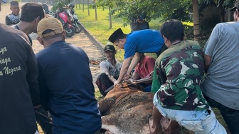 Bagi Ribuan Paket Daging, Ini Alasan Crazy Rich Cilegon Sembelih Sendiri Hewan Kurbannya