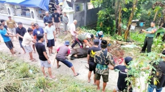 Keluarga Kristen Terima Daging Kurban Masjid Tertua di Toraja, Ternyata Ada Sejarahnya