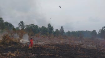 Karhutla Siak: 3 Hektare Lahan Terbakar, BPBD Ungkap Kendala Pemadaman