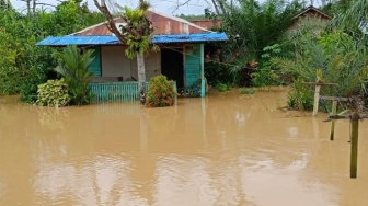 Kampung Balik Sepaku Tenggelam, Bendungan Intake dan Hujan Deras Jadi Sorotan