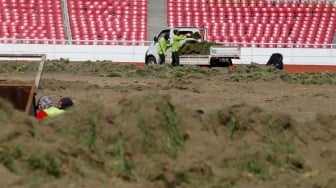 Pekerja melakukan pengerjaan revitalisasi rumput lapangan di Stadion Utama Gelora Bung Karno (SUGBK), Senayan, Jakarta, Rabu (26/6/2024). [Suara.com/Alfian Winanto]