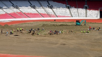 Pekerja melakukan pengerjaan revitalisasi rumput lapangan di Stadion Utama Gelora Bung Karno (SUGBK), Senayan, Jakarta, Rabu (26/6/2024). [Suara.com/Alfian Winanto]