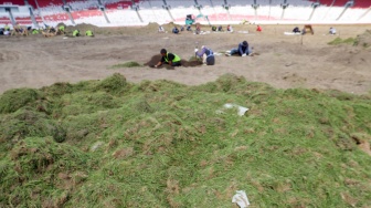 Pekerja melakukan pengerjaan revitalisasi rumput lapangan di Stadion Utama Gelora Bung Karno (SUGBK), Senayan, Jakarta, Rabu (26/6/2024). [Suara.com/Alfian Winanto]