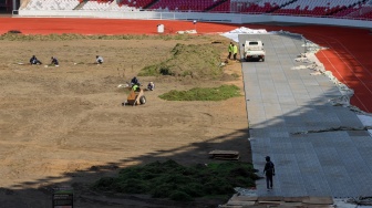 Pekerja melakukan pengerjaan revitalisasi rumput lapangan di Stadion Utama Gelora Bung Karno (SUGBK), Senayan, Jakarta, Rabu (26/6/2024). [Suara.com/Alfian Winanto]